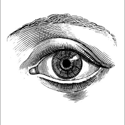 Eye