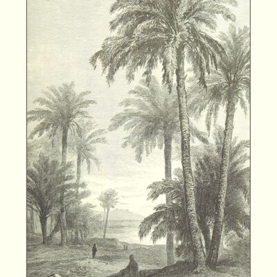 Le paradis des palmiers