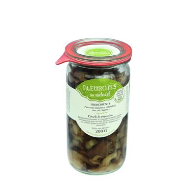 PLEUROTOS NATURALES 200G