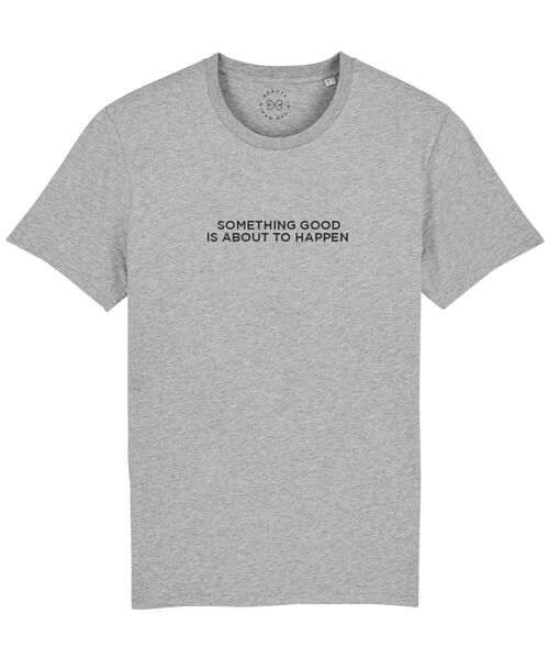 Something Good Is About To Happen Slogan Organic Cotton T-Shirt- Grey 10-12