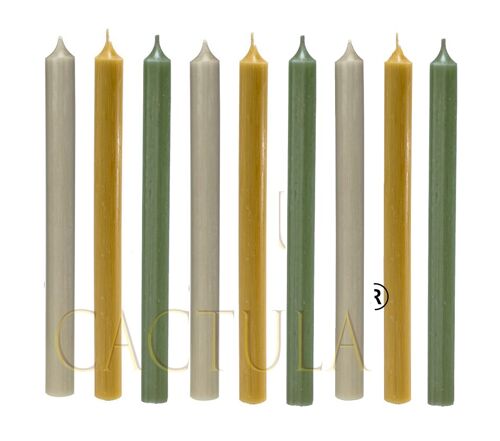 Dinner candles 28 cm 9 PCS in 3 Colors | Charming