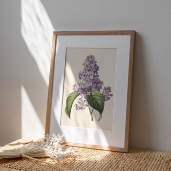 Affiche 21x30 - Lilas 3