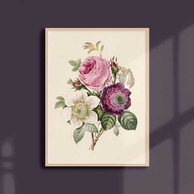 Poster 30x40 - Rosa - Anemone - Clematis