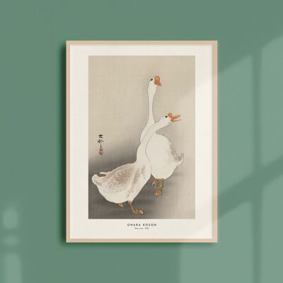 Poster 30x40 - Two geese