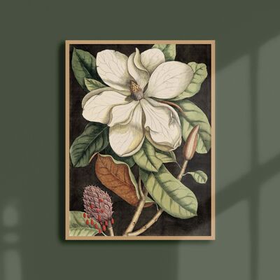 Affiche 30x40 - Magnolia