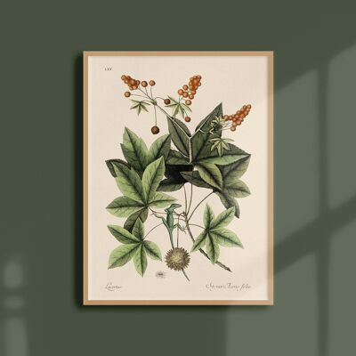 Poster 30x40 - Grüne Eidechse