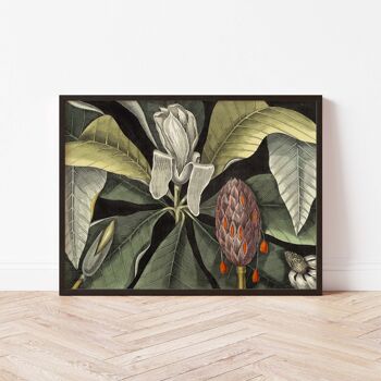 Affiche 30x40 - Magnolia parasol 2