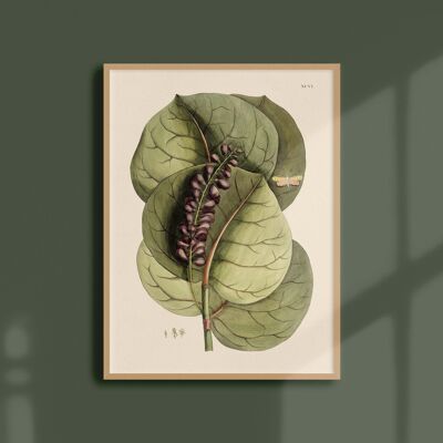 30x40 Poster - Pflaumenbaum