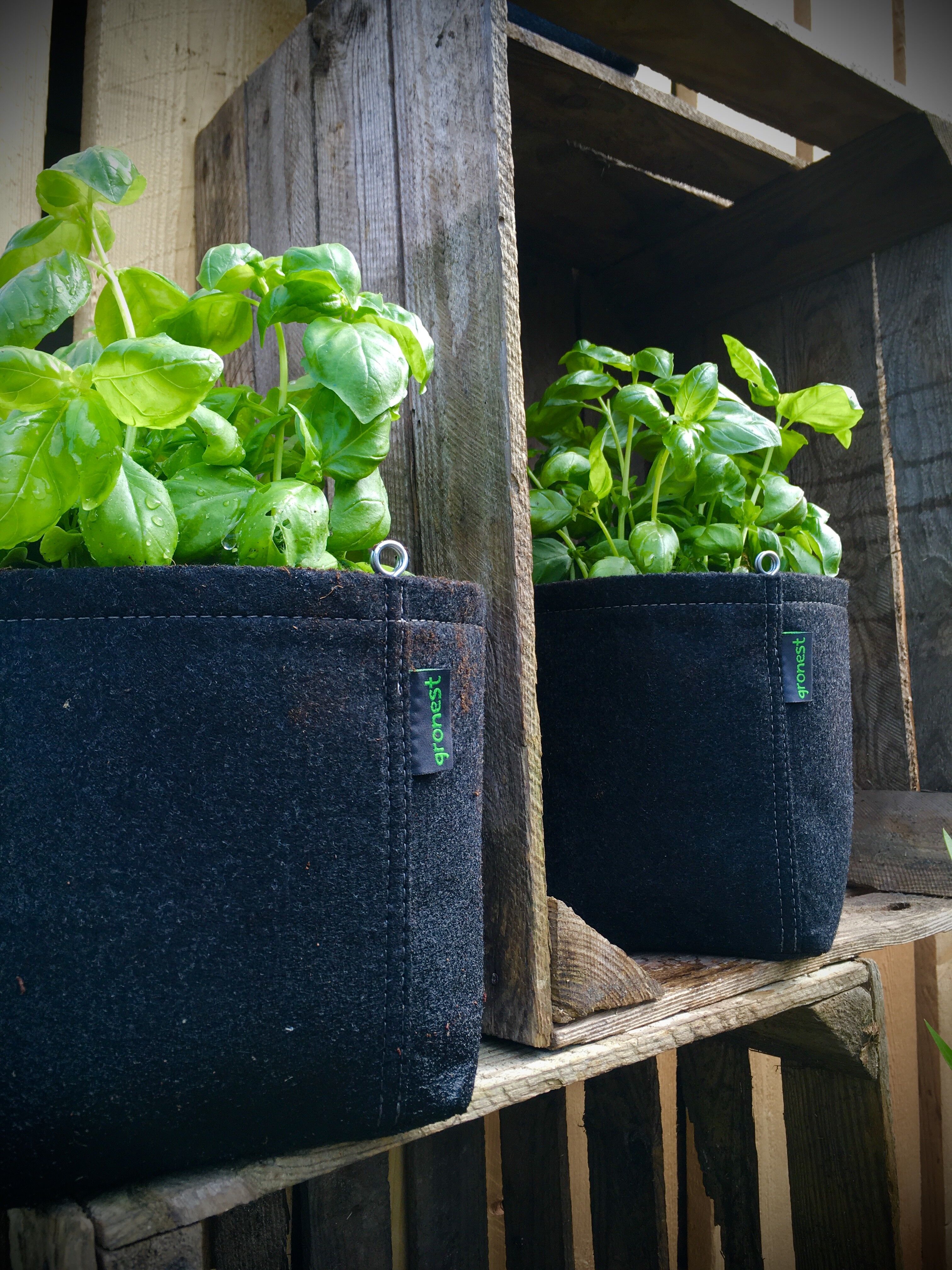 Kaufen Sie Urbaner Gemüsegarten 4L BioBrunnenkresse zu Großhandelspreisen