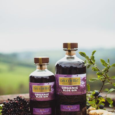 Dà Mhìle Sloe Gin 5cl