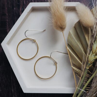 Small Brass Earrings -  Wire Circles