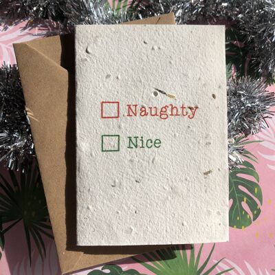 Naughty or Nice Christmas Plantable Seed Card