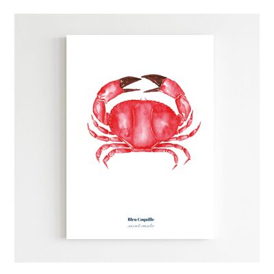 Papeterie Affiche Déco 14.8 x 21 cm - Crabe Rouge