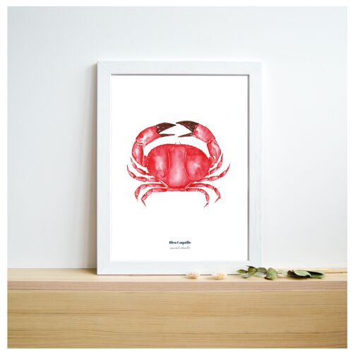 Papeterie Affiche Déco 21 x 29.7 cm - Crabe Rouge