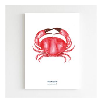 Papeterie Affiche Déco 21 x 29.7 cm - Crabe Rouge 2