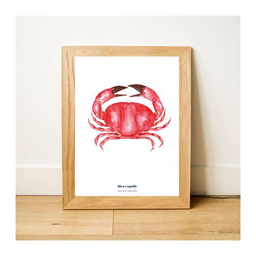 Papeterie Affiche Déco 30 x 40 cm - Crabe Rouge