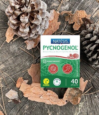 Pycnogenol, extrait d'écorce de pin 40 mg / 40 Gél.