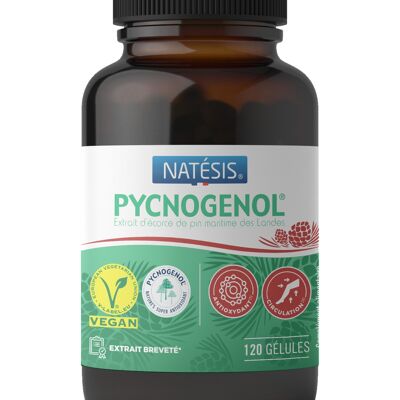 Pycnogenol, extracto de corteza de pino 40 mg / 120 Gel.