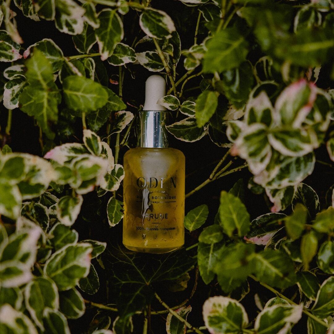 Aceite facial de ciruela francesa: nutritivo para pieles secas y cambios de estación.