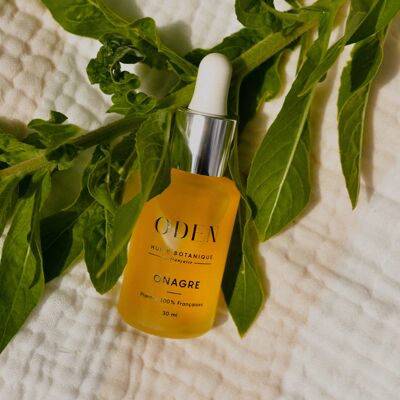 French evening primrose face oil