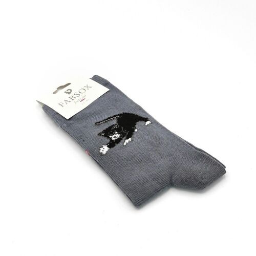 Cat wool grey