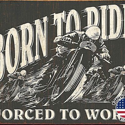 Born to ride plaque us