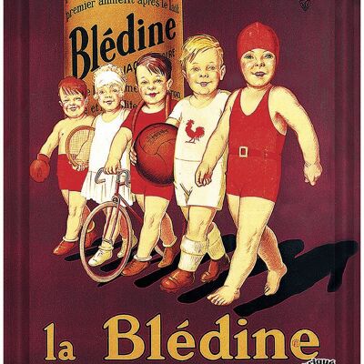 Bledine - le monnier cp metal 15x21