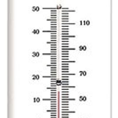 Vintage Dubout Thermometer, das Thermo Fly kleines Modell