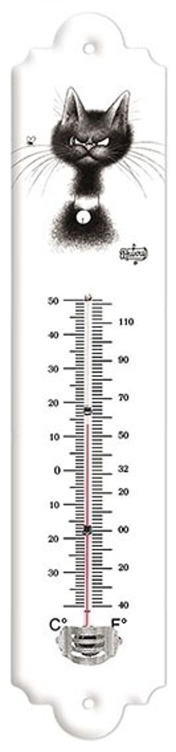 Thermomètre Vintage Dubout la mouche thermo petit modele