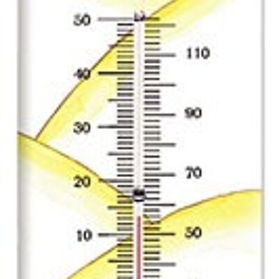 Vintage-Thermometer Le pt Prince Le Wüstenthermometer
