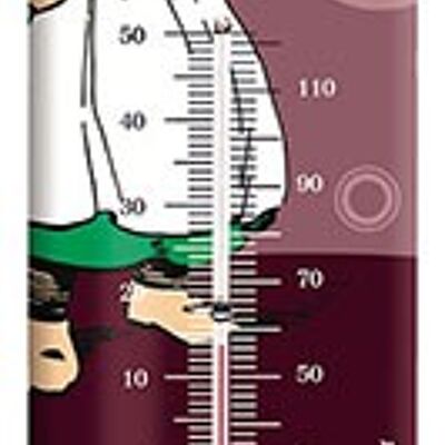 Vintage Becassine-Thermometer, es ist mir oder es ist ein heißes Thermometer
