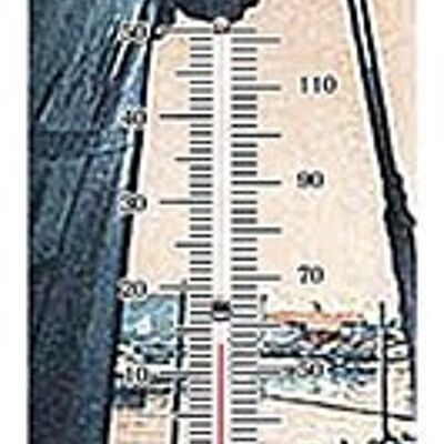 Termometro vintage Termometro dell'isola della bellezza della Corsica