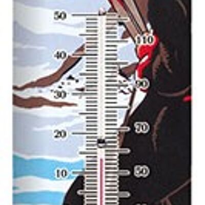 Termometro Morzine Pleney vintage - termometro turistico globale anonimo
