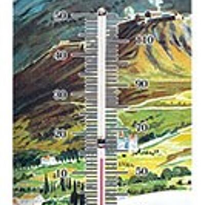 Termometro vintage BRIANCON Trinquier TERMOMETRO