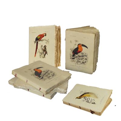 Quaderno A5 in carta pergamena con motivo uccelli