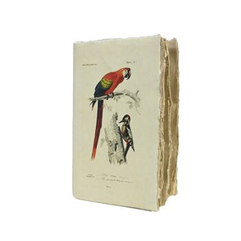 Carnet A5 en papier parchemin motif oiseaux 4