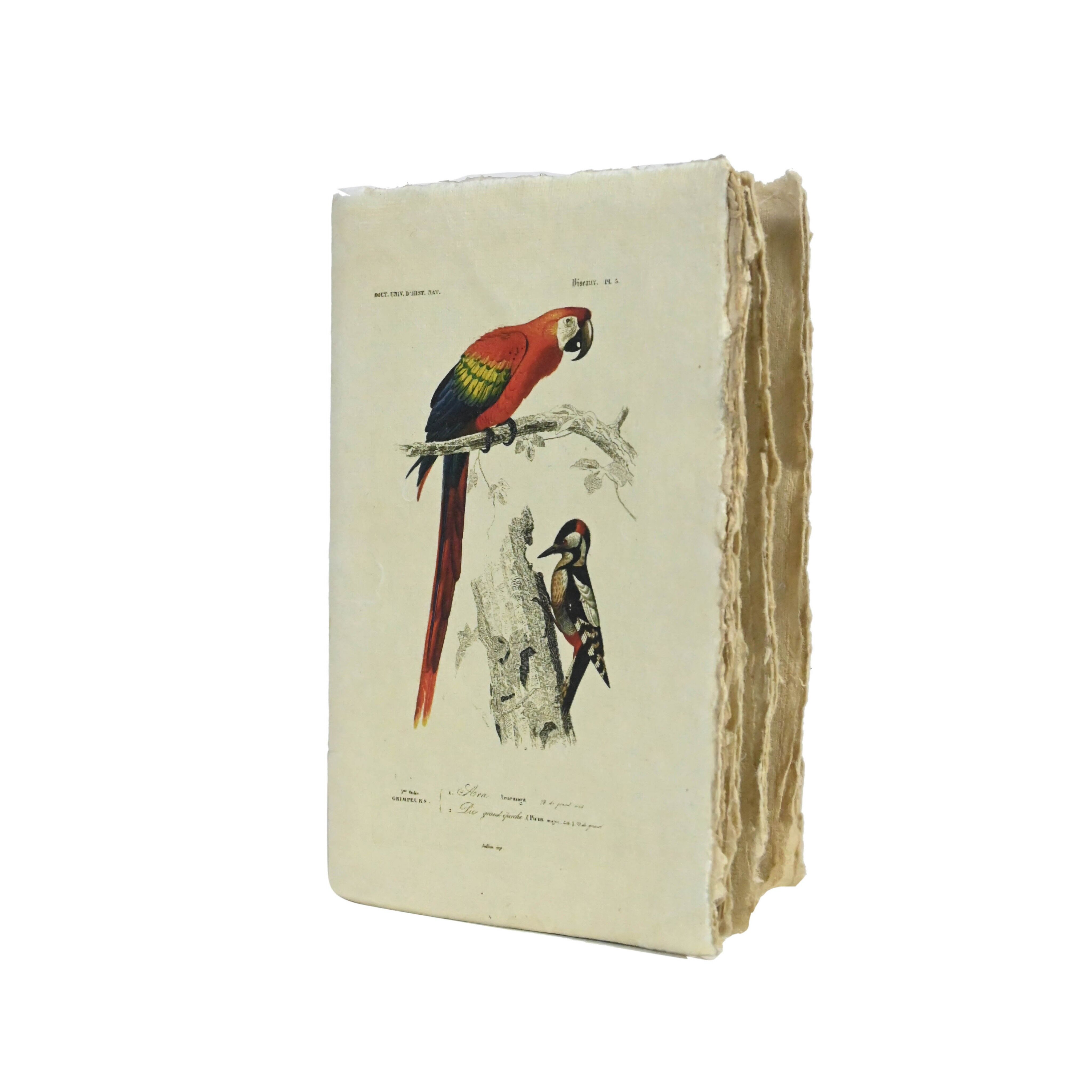 Vintage bird motif parchment A6 notebook