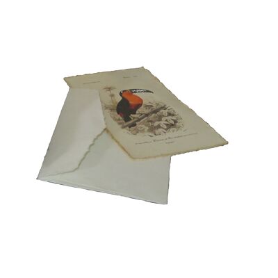 Biglietto di auguri in carta pergamena con motivo a incisione di uccelli
