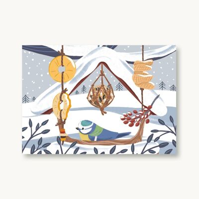 Carte postale hiver - mésange bleue