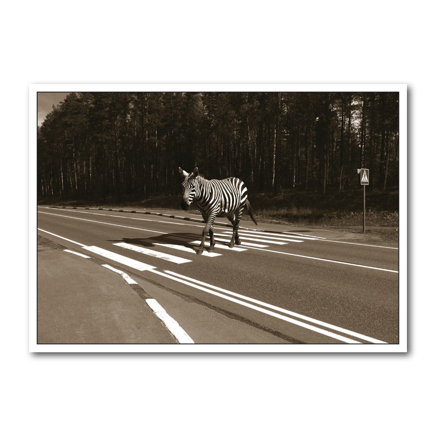 Cartolina formato orizzontale b/n DIN A6 MG1832