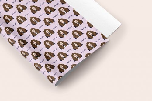 Shut up! Princess Diaries funny Gift Wrap Sheet 50x70cm