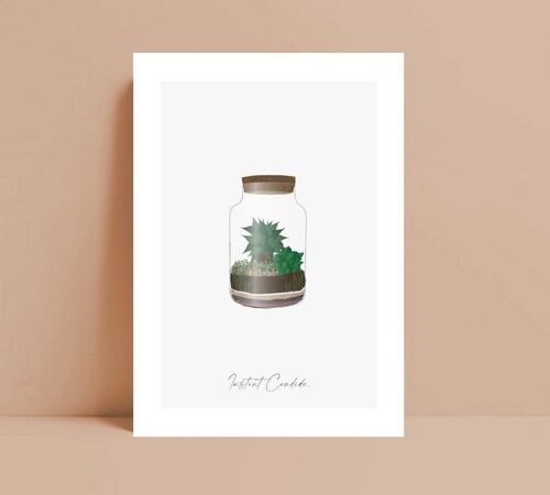 Carte terrarium