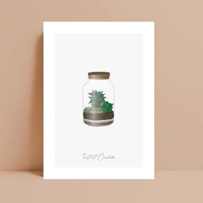 Carte terrarium