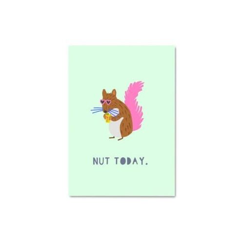 Nut Today Postcard