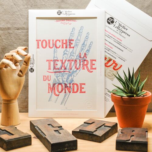 Affiche Letterpress Touche la Texture du Monde, A4, holistique, vintage, anatomie, main, bleu, rouge