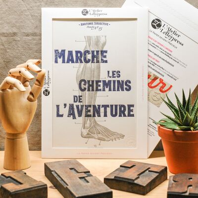 Affiche Letterpress Marche les Chemins de l'Aventure, A4, holistique, vintage, anatomie, jambe, pied, bleu