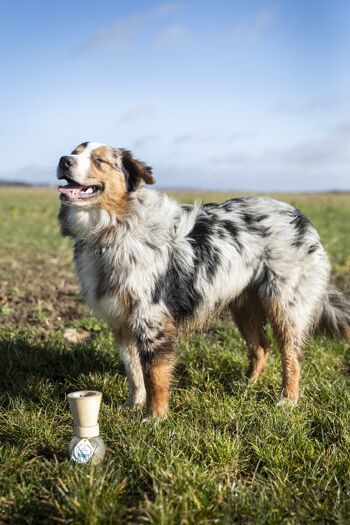 Soin de la Peau & du Pelage, complément alimentaire pour chien, Moulin + Recharge, "Allure" 3