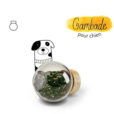 Joint Mobility & Comfort, food supplement for dogs, Refill, "Gambade"
