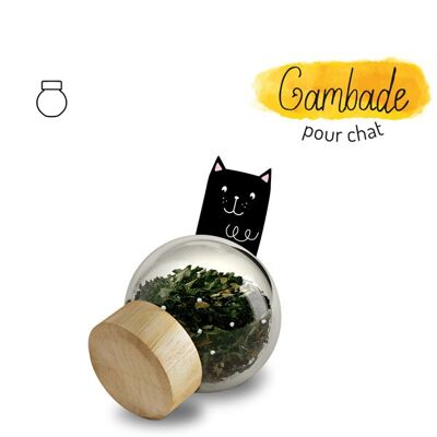 Joint Mobility & Comfort, food supplement for cats, Refill, "Gambade"