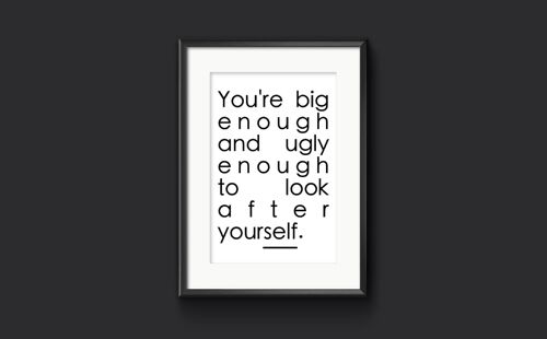 You're big enough and ugly enough to look after yourself - A3 (297x420mm)